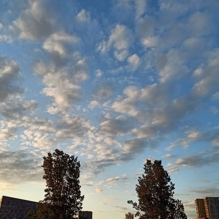 Veemkade Veemkade